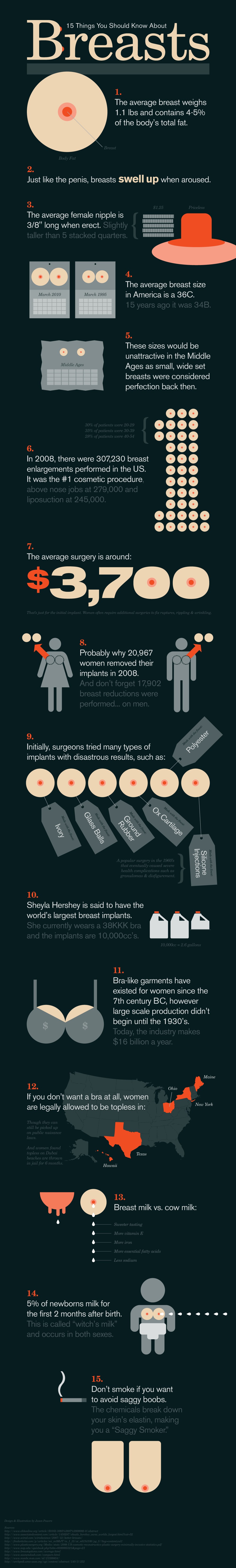 breasts_brueste_infografik.jpg